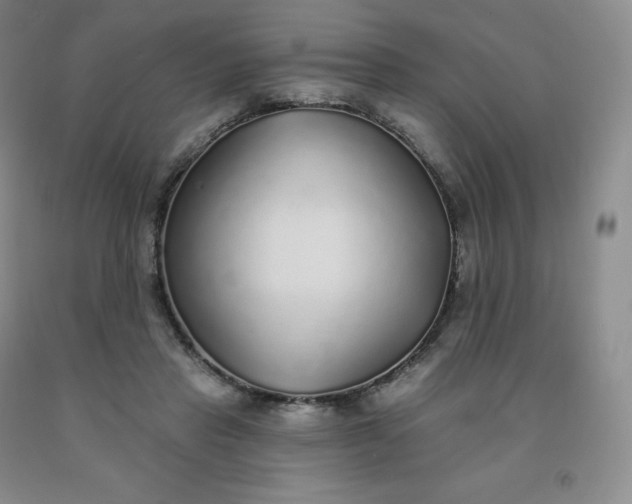 X0000092010453200709201534