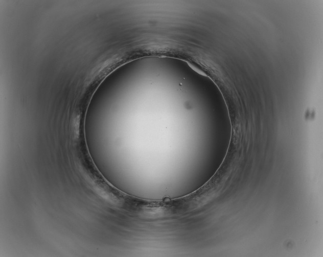 X0000092010454200709201534