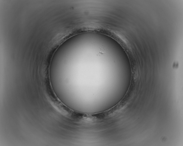 X0000092010455200709201534