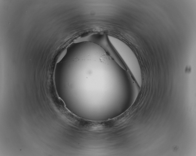 X0000092010456200709201534