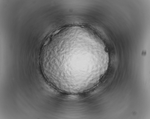 X0000092010457200709201534
