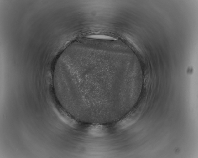 X0000092010459200709201534