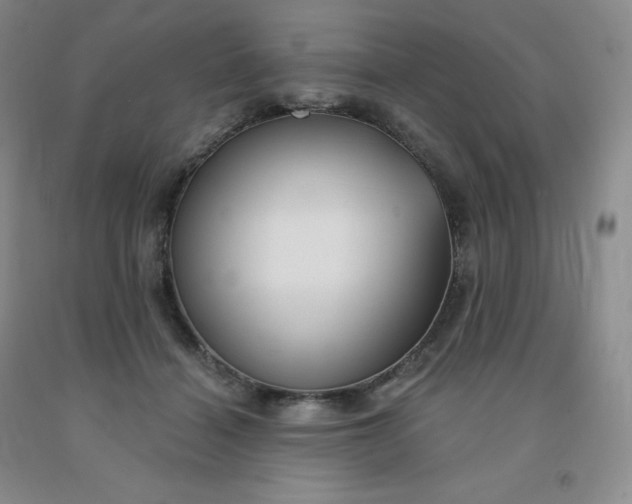 X0000092010460200709201534