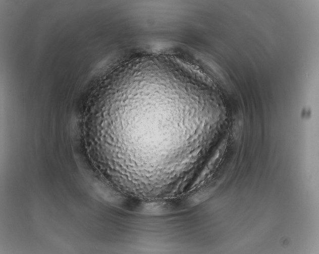 X0000092010461200709201534