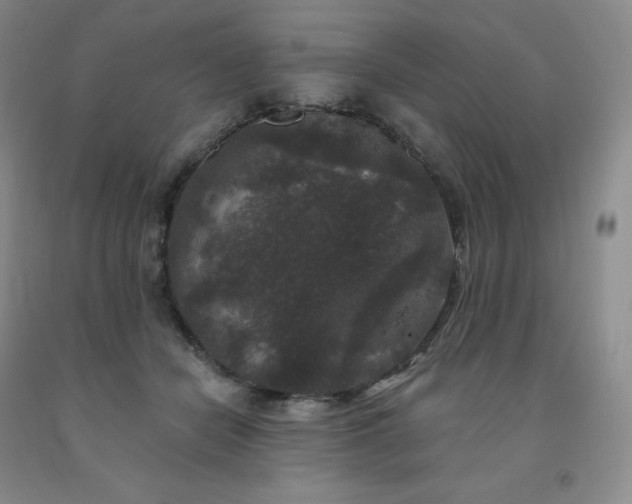 X0000092010462200709201534