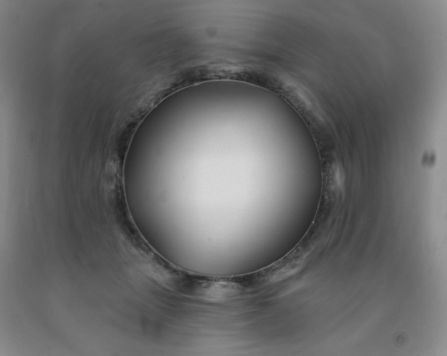 X0000092010463200709201534