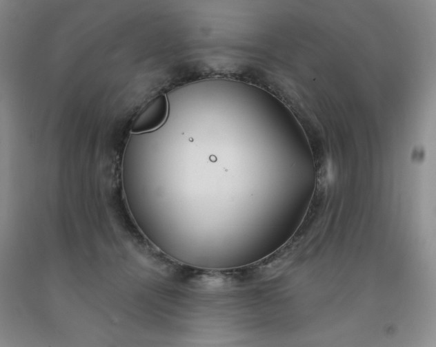 X0000092010464200709201534