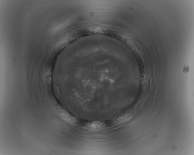 X0000092010466200709201534