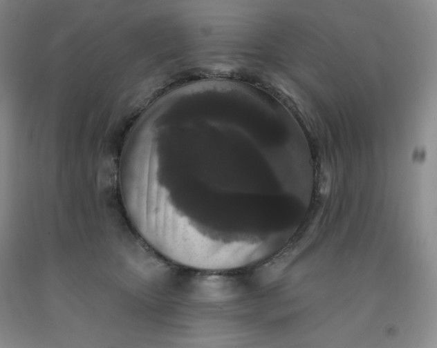 X0000092010467200709201534