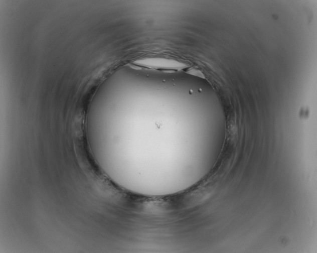 X0000092010468200709201534