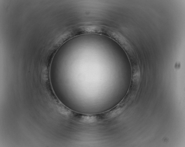 X0000092010469200709201534