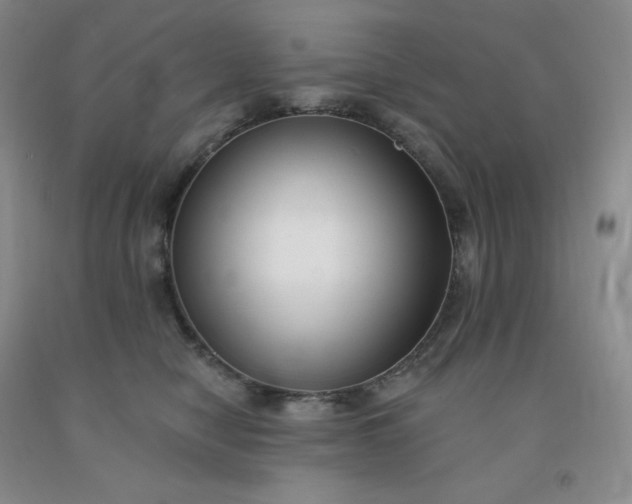 X0000092010470200709201534
