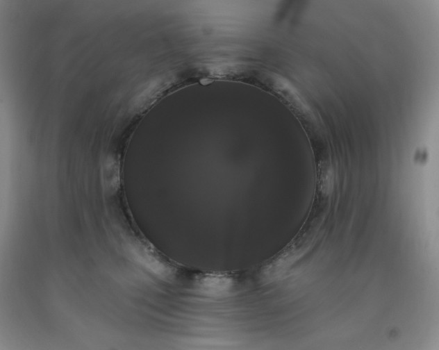 X0000092010471200709201534