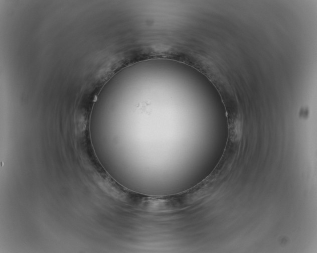 X0000092010472200709201534