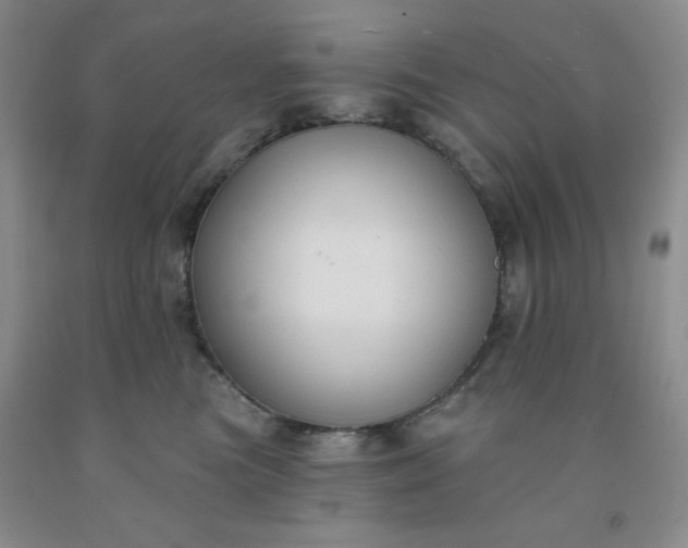X0000092010473200709201534