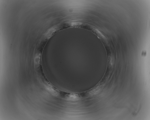 X0000092010475200709201534