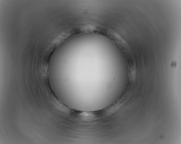 X0000092010477200709201534