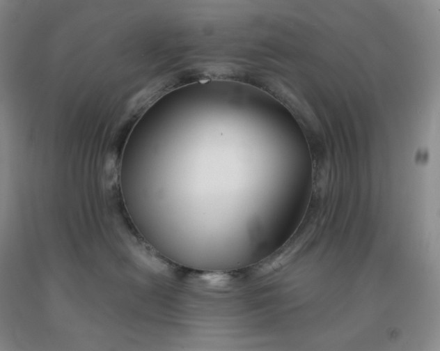 X0000092010478200709201534