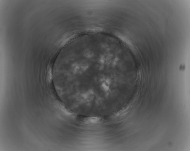 X0000092010479200709201534