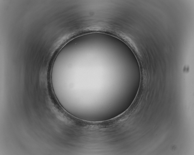 X0000092010482200709201534