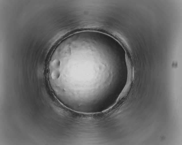 X0000092010483200709201533