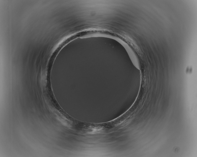 X0000092010484200709201533