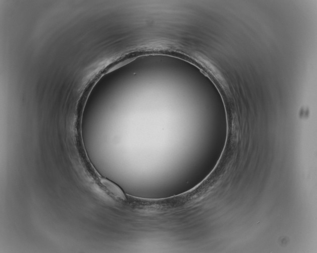 X0000092010485200709201533