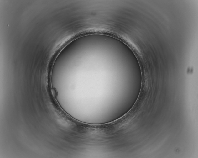 X0000092010486200709201533