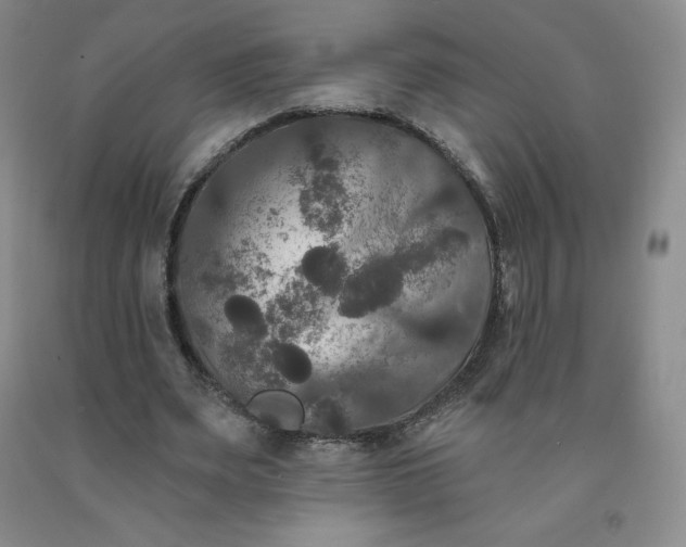 X0000092010487200709201533