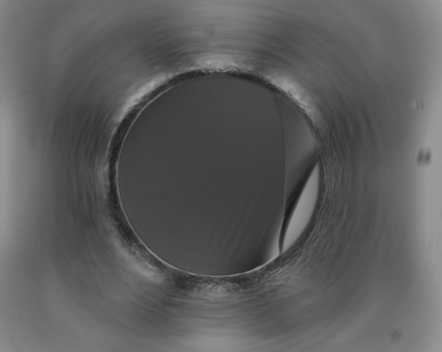 X0000092010488200709201533