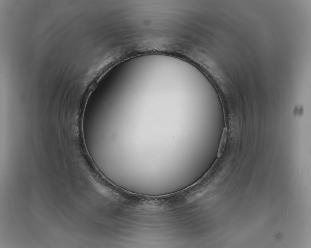 X0000092010489200709201533