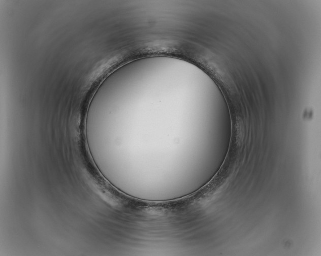 X0000092010490200709201533