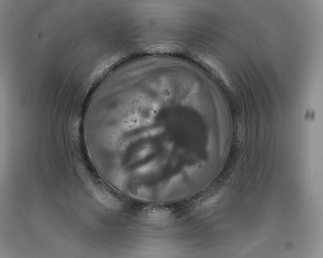 X0000092010491200709201533