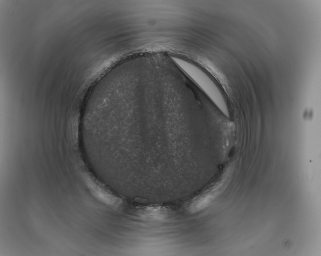 X0000092010493200709201533