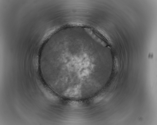 X0000092010494200709201533