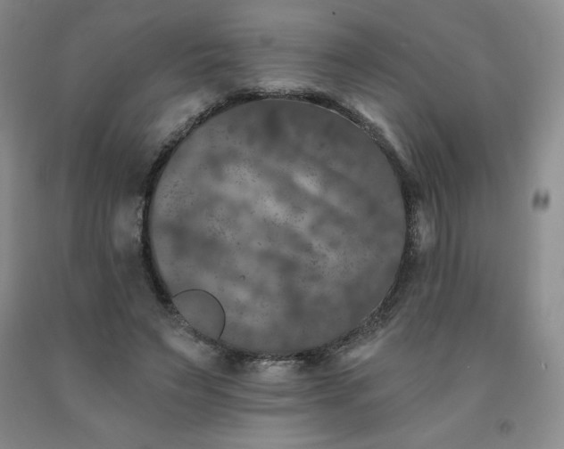 X0000092010495200709201533