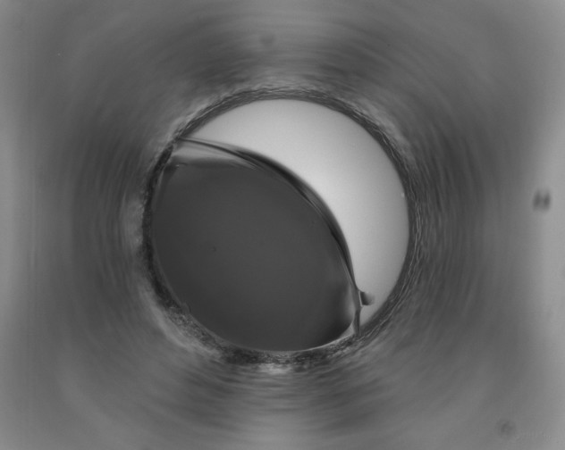X0000092010496200709201533