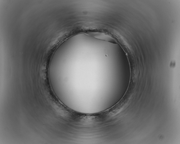 X0000092010497200709201533