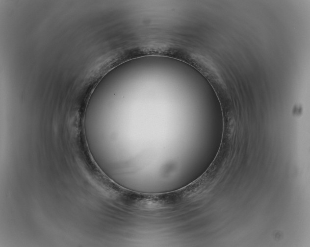 X0000092010498200709201533