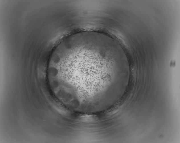 X0000092010499200709201533