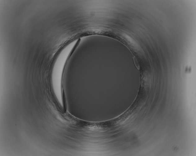 X0000092010500200709201533