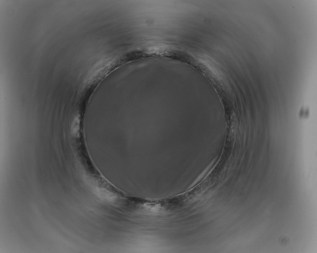 X0000092010502200709201533