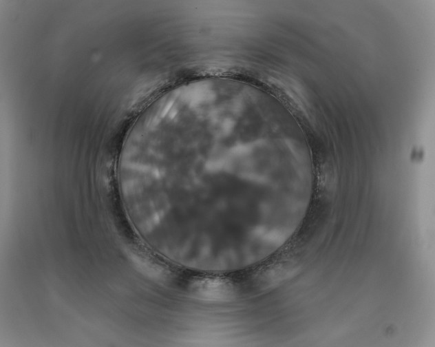 X0000092010503200709201533