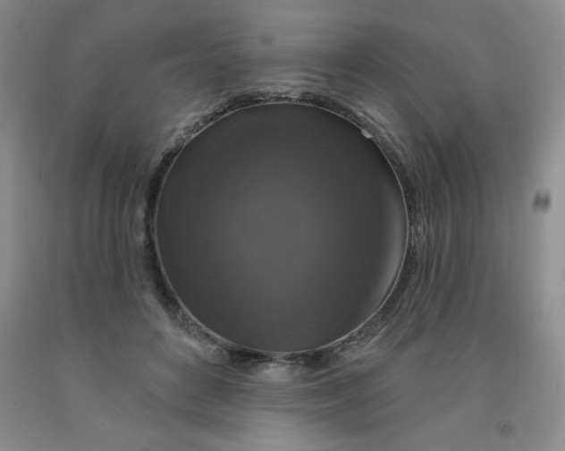 X0000092010504200709201533