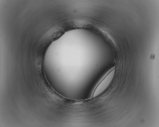 X0000092010505200709201533