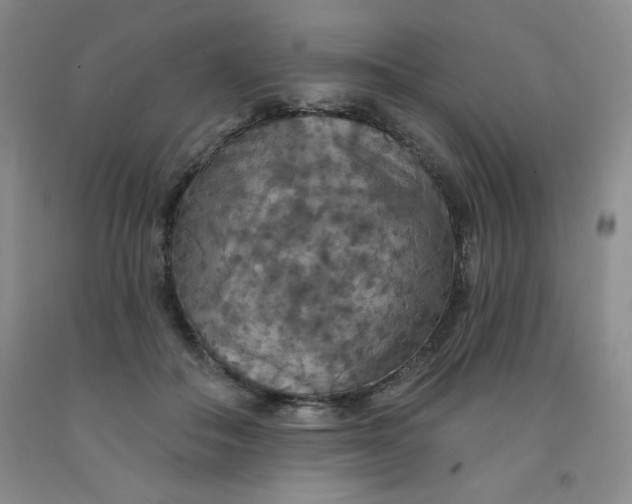 X0000092010506200709201533