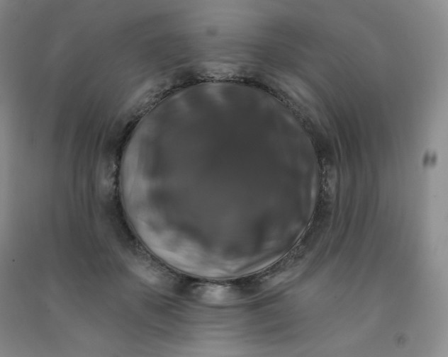 X0000092010507200709201533