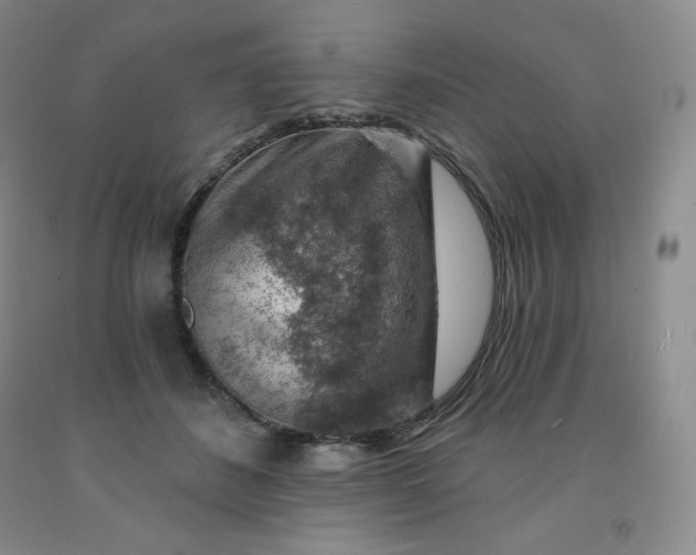 X0000092010508200709201533