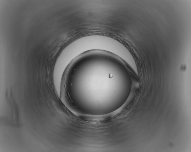 X0000092010512200709201533