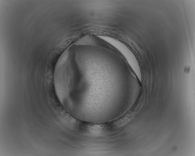 X0000092010513200709201533